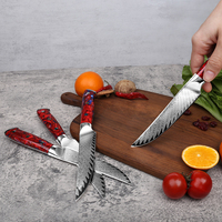 Ensemble de couteaux à steak en acier Damas VG10 de 5 pouces de haute qualité 67 couches avec manche en résine couteau utilitaire de cuisine de style oriental