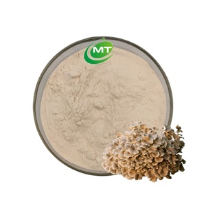 Haute Qualité Polyporus Umbellatus Sclerotium Extrait Parapluie Polypore Extrait 30% Polysaccharides Polyporus Umbellatus Extrait - Product Image 1