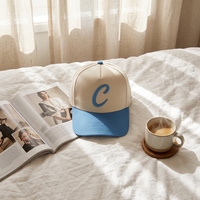Gorras Personalizadas de Béisbol para Adultos, Paquete de 5, Versión Ligera Curvada, Color Sólido, Logotipo Bordado, Estilo Deportivo, 100% Algodón, Venta al Por Mayor