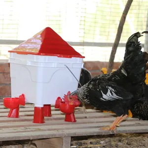 Automatic Waterer Drinking Plastic Broiler Chicken Drinker For Farm Poultry