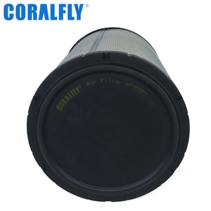 Filtro de Aire HEPA Original para Automóvil, al por Mayor, AF26557 AF26558 - Product Image 6