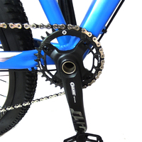 Nouveau vélo de montagne/vélo de route/cité en alliage d'aluminium de taille 29, design original multicolore, 12 vitesses, pour femmes et hommes