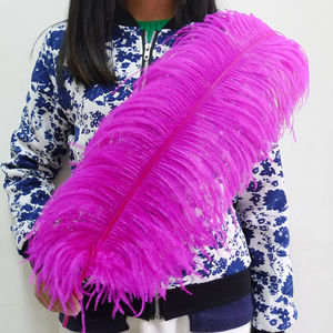 Vente en gros de grandes plumes d'autruche noires 75-80 CM de haute qualité plumes d'autruche moelleuses et lisses motif teint multicolore - Product Image 5