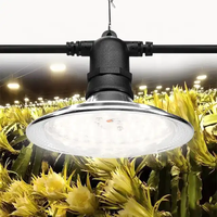 15W Full Spectrum Plant Lamp Voor Dragon Fruit Bacca Tomaat & Phyto Bollen Groeiende Waterdichte Outdoor Bloei Applicatie