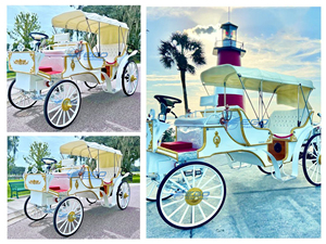 Nouvelle Carrosse de Mariage de Luxe Blanche avec 4 Roues en Acier, Idéale pour les Visites Royales et les Voitures à Chevaux - Product Image 6