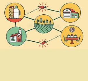 Services rapides pour la programmation MAC, le développement, les rappels d'entretien automobile, l'assistance en cas de panne, l'achat/vente de voitures, la personnalisation d'applications - Product Image 4