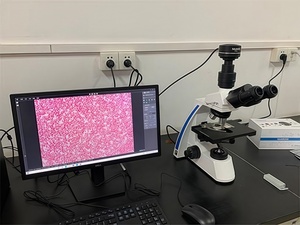 Microscopio biológico de doble capa con etapa mecánica para uso en laboratorio - Product Image 3