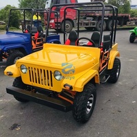 Voiturette de golf tout-terrain 150cc 200cc 250cc, mini-jeep automatique à essence 2/4 places, véhicule utilitaire électrique pour adultes, buggy