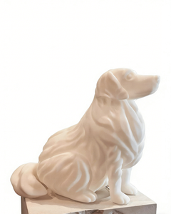 Service d'<span class=keywords><strong>impression</strong></span> <span class=keywords><strong>3D</strong></span> de chiens en plastique, prototypage rapide CNC de haute qualité, <span class=keywords><strong>impression</strong></span> <span class=keywords><strong>3D</strong></span> SLA SLS SLM en nylon PA12 ABS - Product Image 2