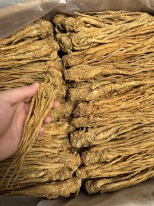 Хорошая цена, стандартная цена, корень Ангелика, все растение, экспорт, сушеный корень дягеля, корень Ангелика, Gigas - Product Image 6