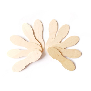 Thìa Kem Bằng Gỗ Phân Hủy Màu Bạch Dương Cao Cấp Muỗng Múc Kem Bằng Gỗ Bạch Dương Dùng Một Lần - Product Image 2