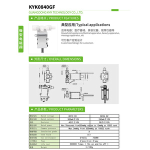 Vanne solénoïde miniature Kyk0840gf 12V 24V pour masseurs, appareils de beauté, tire-lait - Product Image 1