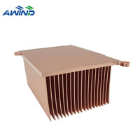 Dissipateur thermique personnalisé, 1 pièce, figurine skin en cuivre, Fin, Ram, radiateur