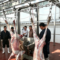 Équipement d'abattage clé en main pour moutons et chèvres, ligne complète d'équipement d'abattage de chèvres, machines pour usine de transformation de viande, directement de l'usine