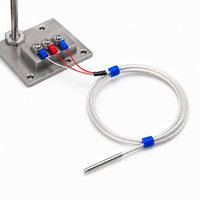 Waterproof PT100 Temperature Probe 3-Wire PTFE Insulated Cable WZP-035 Stainless Steel Rod Corrosive Liquid Food OEM ODM