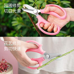 Tijeras Florales RuiPu de Acero Inoxidable para Podar en Jardín y Hogar, Cuidado de Flores - Product Image 4