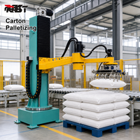 Bras robotisé de palettisation entièrement automatique avec moteur de boîte de vitesses PLC et ventouse pour cartons, bouteilles d'eau, sacs et boîtes