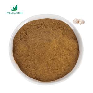 Poudre AHCC en vrac Vente d'usine Extrait direct <span class=keywords><strong>de</strong></span> champignons AHCC Poudre AHCC <span class=keywords><strong>de</strong></span> haute qualité Meilleur prix Extracto <span class=keywords><strong>de</strong></span> Hongo Échantillon OEM ODM - Product Image 1