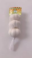 Conteneur de 40 pieds de ail blanc frais biologique cultivé selon des méthodes traditionnelles