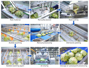 Machines de traitement du chou : <span class=keywords><strong>Coupe</strong></span>-chou à taille réglable, Ligne de lavage et d'épluchage du chou - Product Image 2