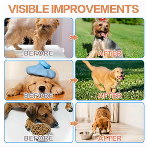 ผลิตภัณฑ์เสริมสุขภาพสุนัขและแมวน้ำยาเคลือบผิวหยดของเหลวเพื่อสุขภาพผิวเพื่อการผลัดและภูมิแพ้และบรรเทาอาการคัน - Product Image 4