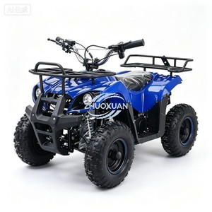 Quad électrique récréatif pour enfants, mini véhicule tout-terrain à quatre roues avec moteur 36V 500W - Product Image 1