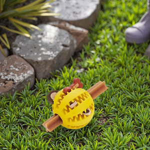 Trong Kho Thân Thiện Với Môi Phim Hoạt Hình Vật Nuôi Chew Đồ Chơi Cắn Chống Răng Răng Răng Làm Sạch Dưa Hấu Câu Đố Bóng Con Chó Đồ Chơi - Product Image 5