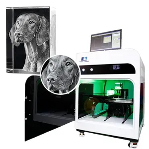 HOLY LASER 2D 3D foto cristal subsuperficie máquina de grabado láser en el interior