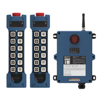 Télécommande de grue à vitesse unique, 10 canaux, étanche, antichoc, portée de contrôle de 100 m, utilisation universelle GT-LS10