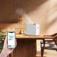 Diffuseur d'huiles essentielles sans eau pour hôtel 2025, pulvérisateur de parfum commercial durable en plastique pour climatisation, machine à parfum