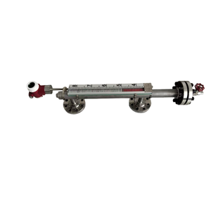 Capteur de niveau d'eau à flotteur, indicateur magnétique à ailette, jauge en acier inoxydable IP66, précision 1%, montage manuel latéral - Product Image 3
