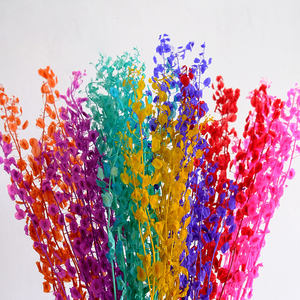 Panier à fleurs éternelles conservées, 1 pièce, fleur immortelle, pour décoration d'intérieur - Product Image 5