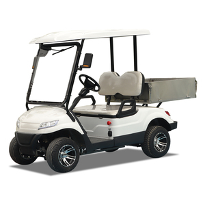 Carrito de golf de 4 ruedas al por mayor, 2 plazas para adultos, con baterías, con asiento tipo cubeta, Corea del Sur, Guangzhou - Product Image 3