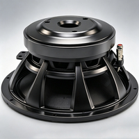 Haut-parleur de graves en néodyme 300W en gros, bobine vocale en alliage de titane 260mm, 97dB 8Ohm, haut-parleur en ferrite pour KTV, scène, audio, métal