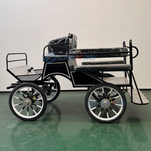 Newly Designed Carriage/customized Luxury Marathon/factory Direct Marathon Rickshaw - Product Image 5
