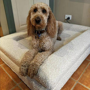 Lit pour chien et chat rectangulaire en velours enroulé, éponge orthopédique amovible, mousse à mémoire de forme, accoudoirs sur les quatre côtés, canapé-lit pour animaux de compagnie - Product Image 2