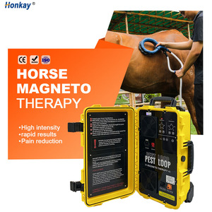 Máquina de Terapia Magnética Veterinaria No Invasiva con Tecnología PEMF para el Alivio del Dolor y la Reducción de la Inflamación en Caballos - Product Image 1