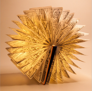 Kanlong realista portátil recargable <span class=keywords><strong>de</strong></span> la PU decoración Lámpara <span class=keywords><strong>de</strong></span> lectura del niño habitación noche <span class=keywords><strong>magia</strong></span> multi-funcional <span class=keywords><strong>de</strong></span> libro Led Luz - Product Image 6