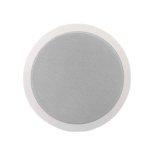 TPI-351 Professional 6 Inch Factory Wholesale Full Range Speaker Audio Plastic Passive Speaker Customized In-ceiling Speakers
