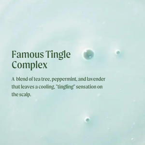 Champú especial <span class=keywords><strong>de</strong></span> árbol <span class=keywords><strong>de</strong></span> té, limpia profundamente, refresca el cuero cabelludo, para todo tipo <span class=keywords><strong>de</strong></span> cabello, especialmente cabello graso - Product Image 3