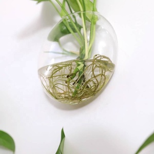 <span class=keywords><strong>Vase</strong></span> mural créatif, <span class=keywords><strong>vase</strong></span> hydroponique mural en verre radis vert, décoration murale simple pour salon, plantes vertes - Product Image 3