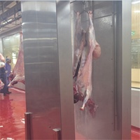 Processus d'abattage personnalisé de viande d'agneau halal pour abattoir de moutons