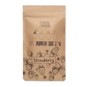 Kit de culture de fraises gadgets écologiques - Product Image 3