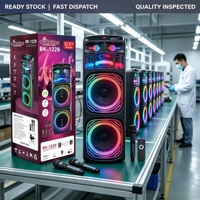Système audio de karaoké avec haut-parleur extra bass, microphone, éclairage RGB, batterie rechargeable, capacité de production en série, puissance de sortie 100-300W