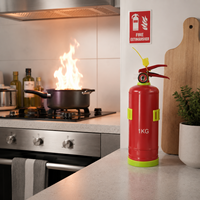 Extincteur chimique sec portable de 1 kg avec poignée rouge, valve en cuivre naturel et manomètre rouge pour usage commercial et domestique
