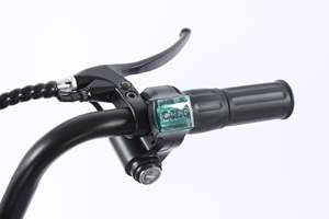 48V 18Ah EGO 03 Tricycle électrique Cargo moteur moyeu arrière acier <span class=keywords><strong>5</strong></span> vitesses avant arrière paniers 250W adultes 120kg vélo de ville - Product Image 6