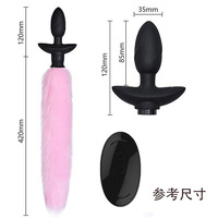 Plug anal queue de renard, jouet SM, dispositif d'expansion anale pour la flirtation et le taquinerie féminine, accessoires de jouets sexuels pour adultes