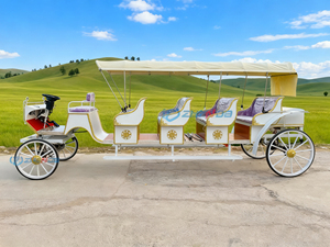 Chariot électrique personnalisé pour visites touristiques, type calèche, avec auvent pour parcs et attractions, nouveau style, sièges violets - Product Image 5
