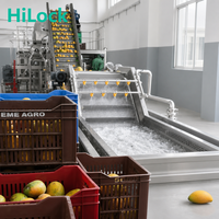 Automatische Mango Wasmachine Fruit- en Groentereinigingsapparatuur Mango Wasmachine voor de Verwerking van Verse Mango's in een Productielijn