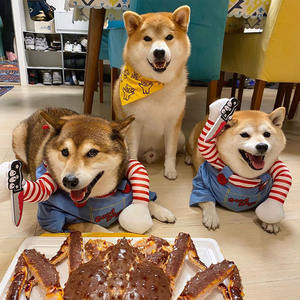 Grappige Kat En Hond Huisdier Kleding Voor Zomer Cosplay Rollenspel Pak Met Mes Halloween Feest Kostuum Dressing Kat Hond - Product Image 5